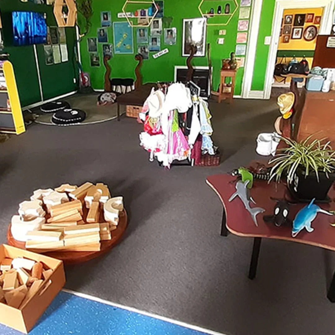 Te Kura Kaupapa Maori o Ngati Hamu-The Interiors Group