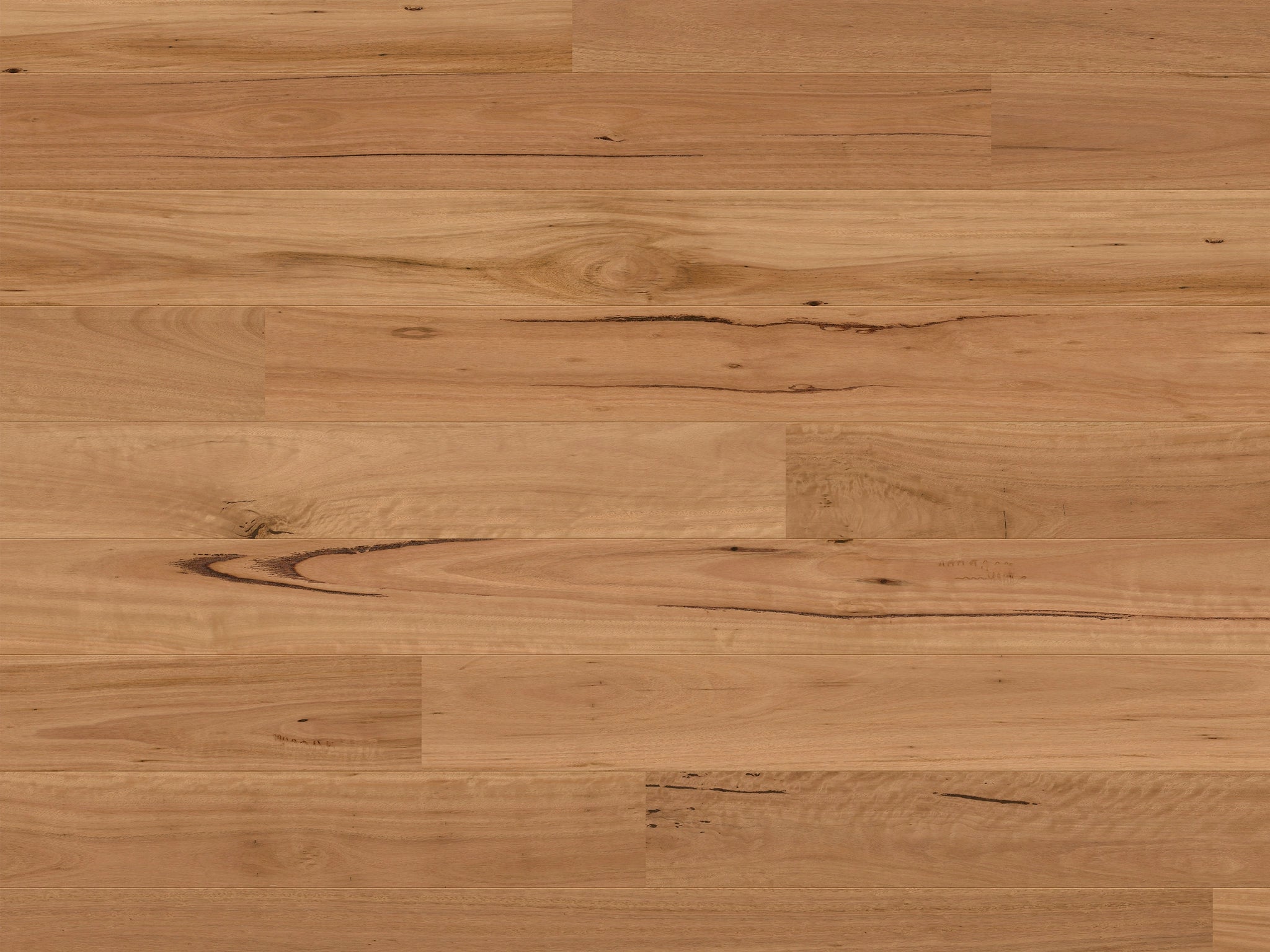 Quickstep Cascada