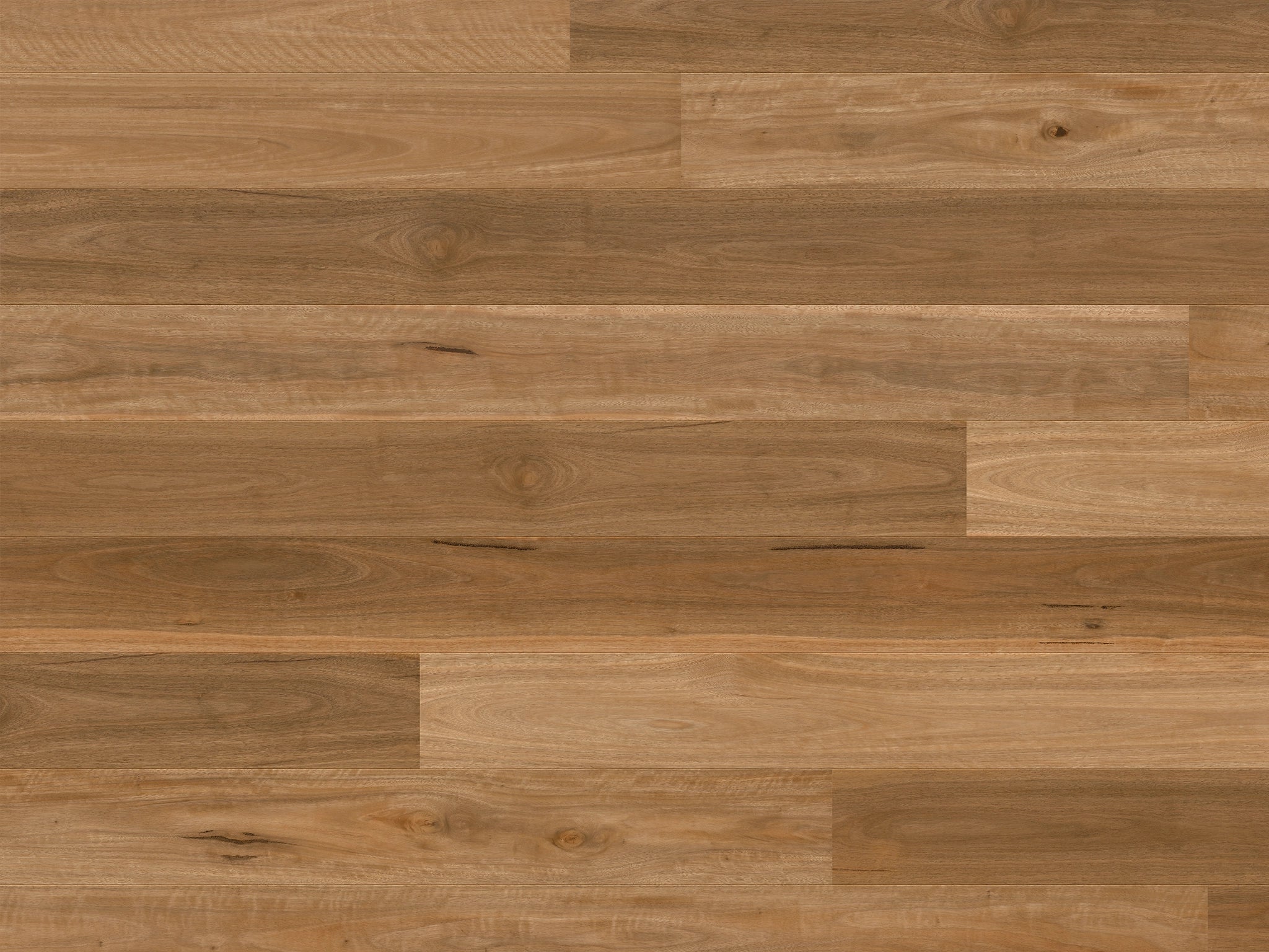 Quickstep Cascada