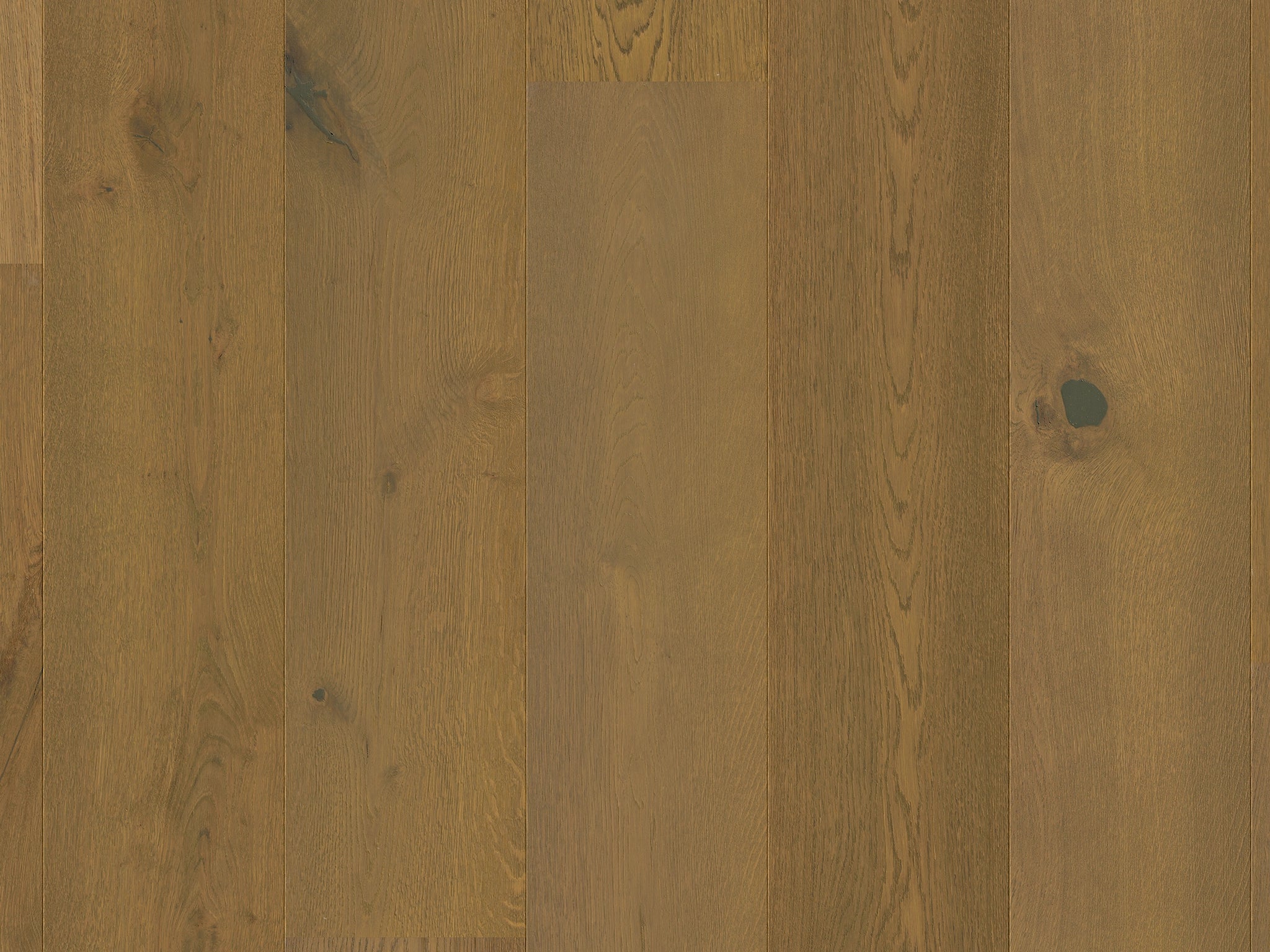 Quickstep Faro