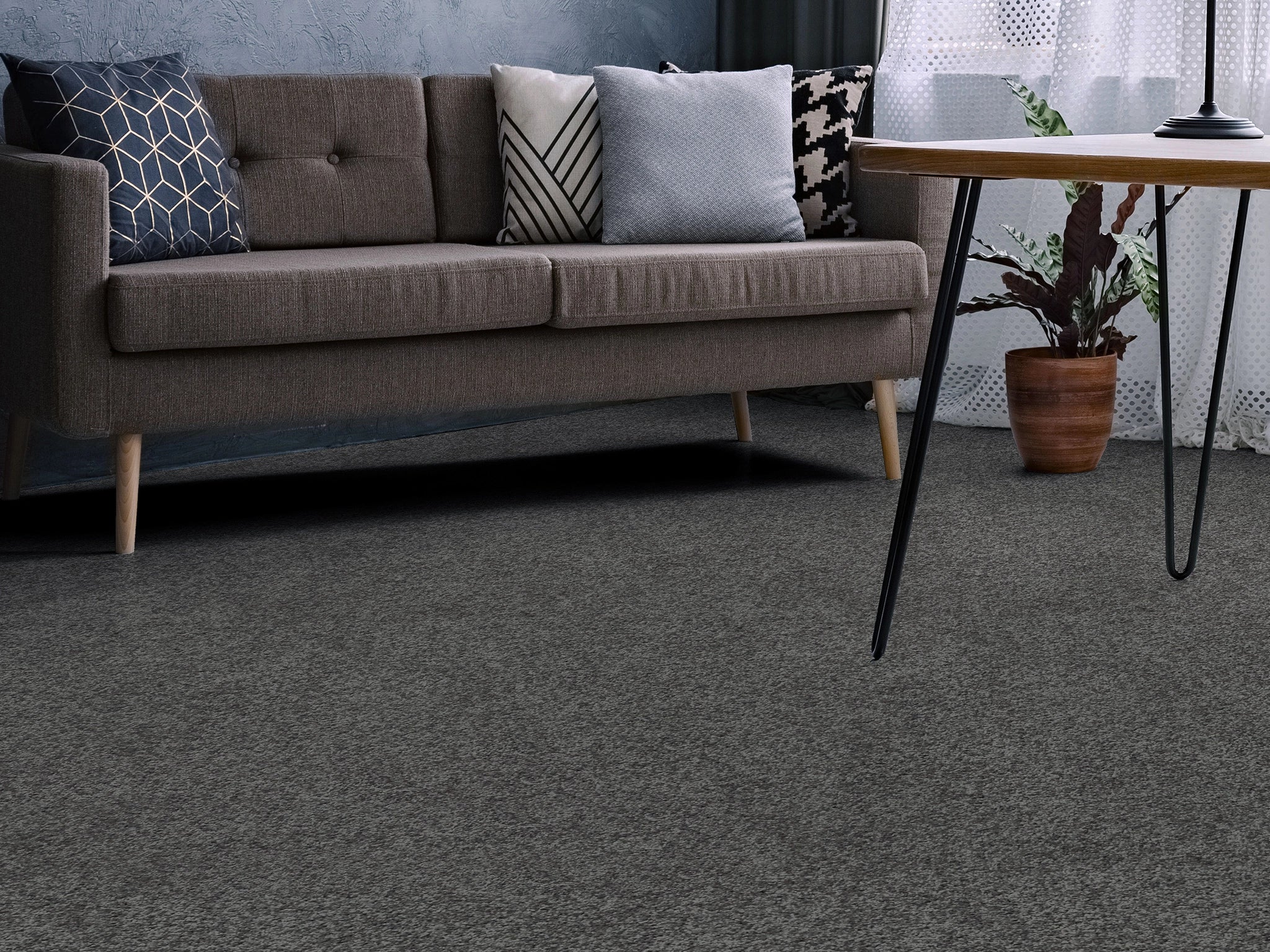 Lucerne 4m