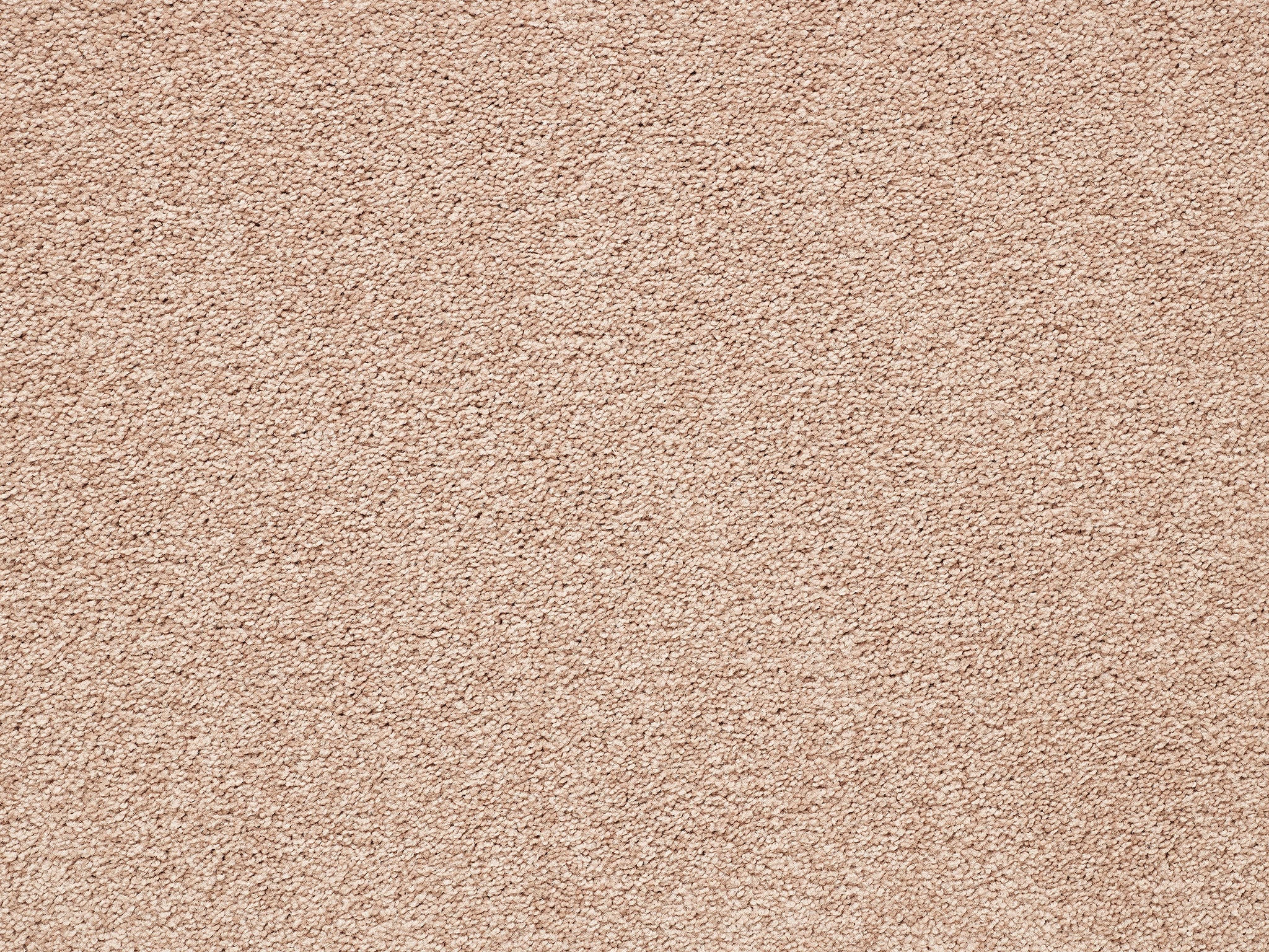 Atlanta-Carpet Court