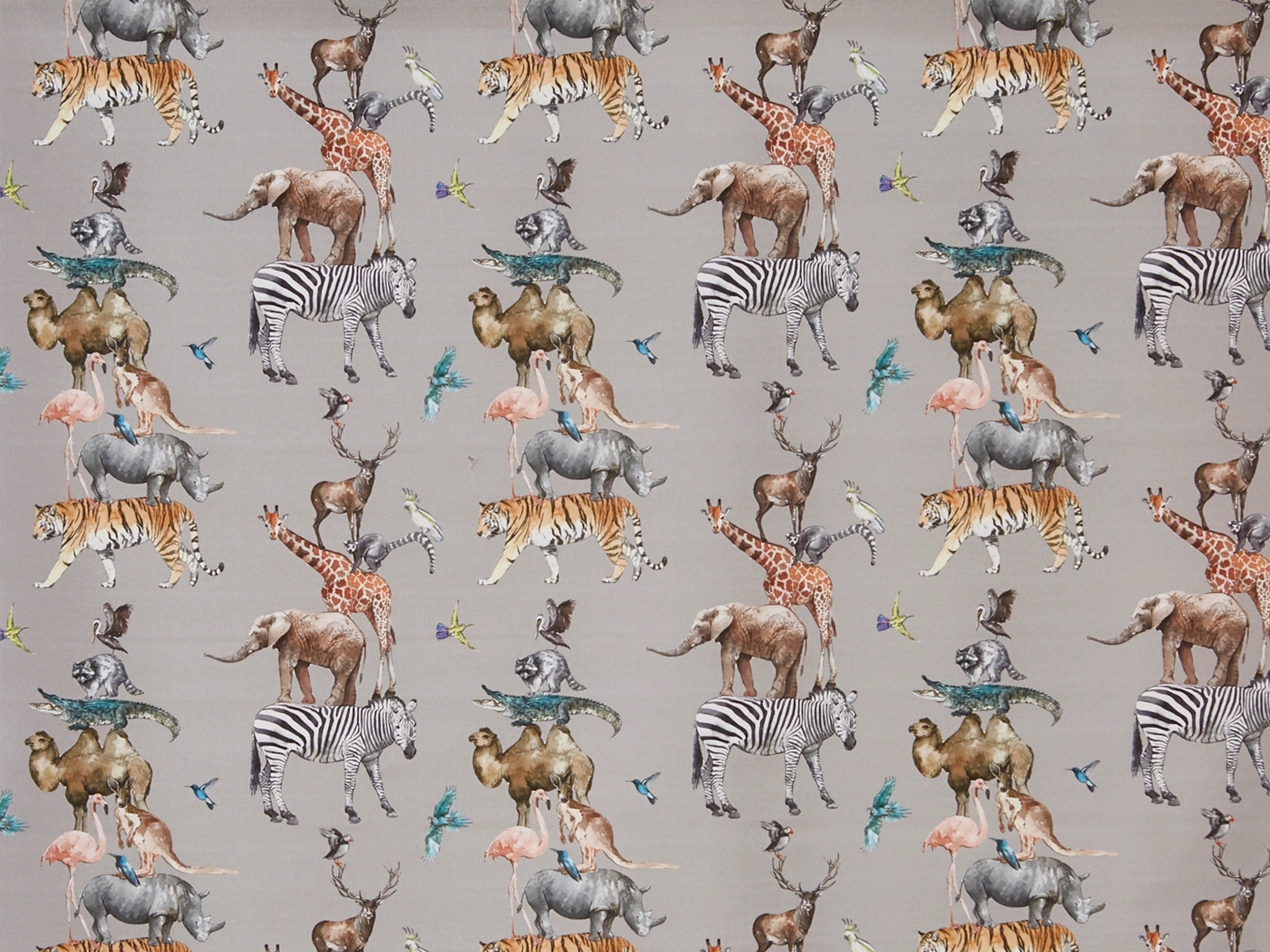 Animal Kingdom